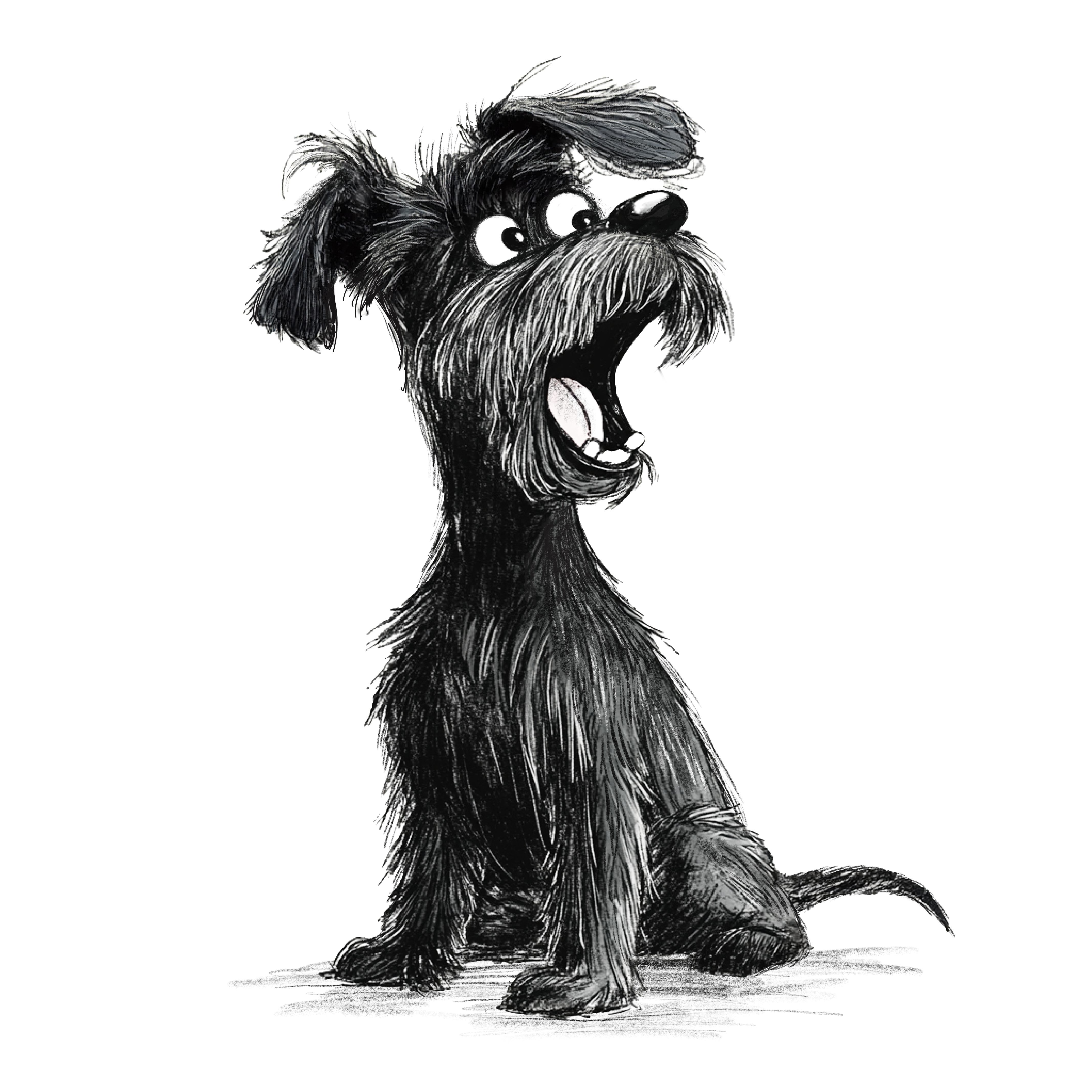 Dog 5