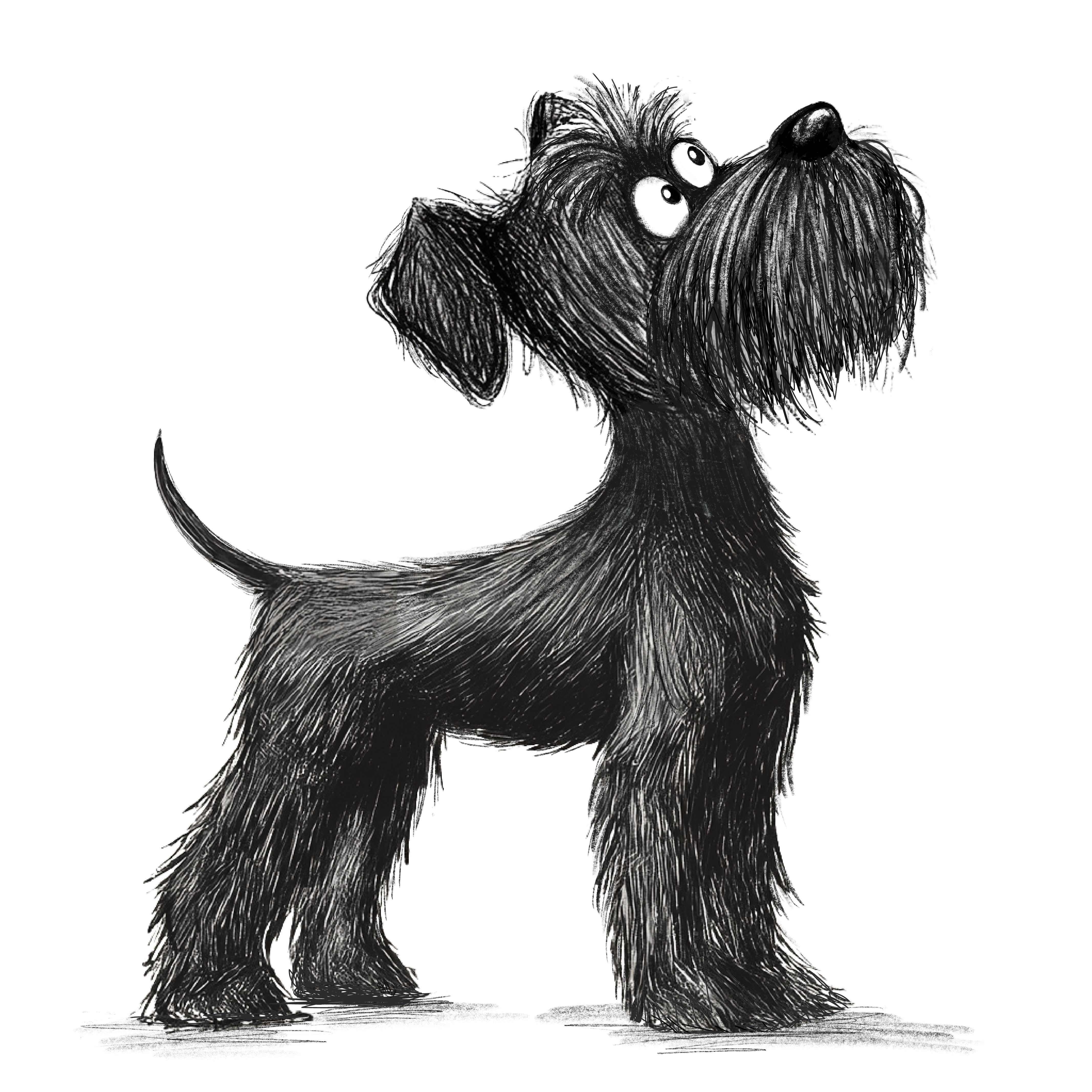 Dog 4