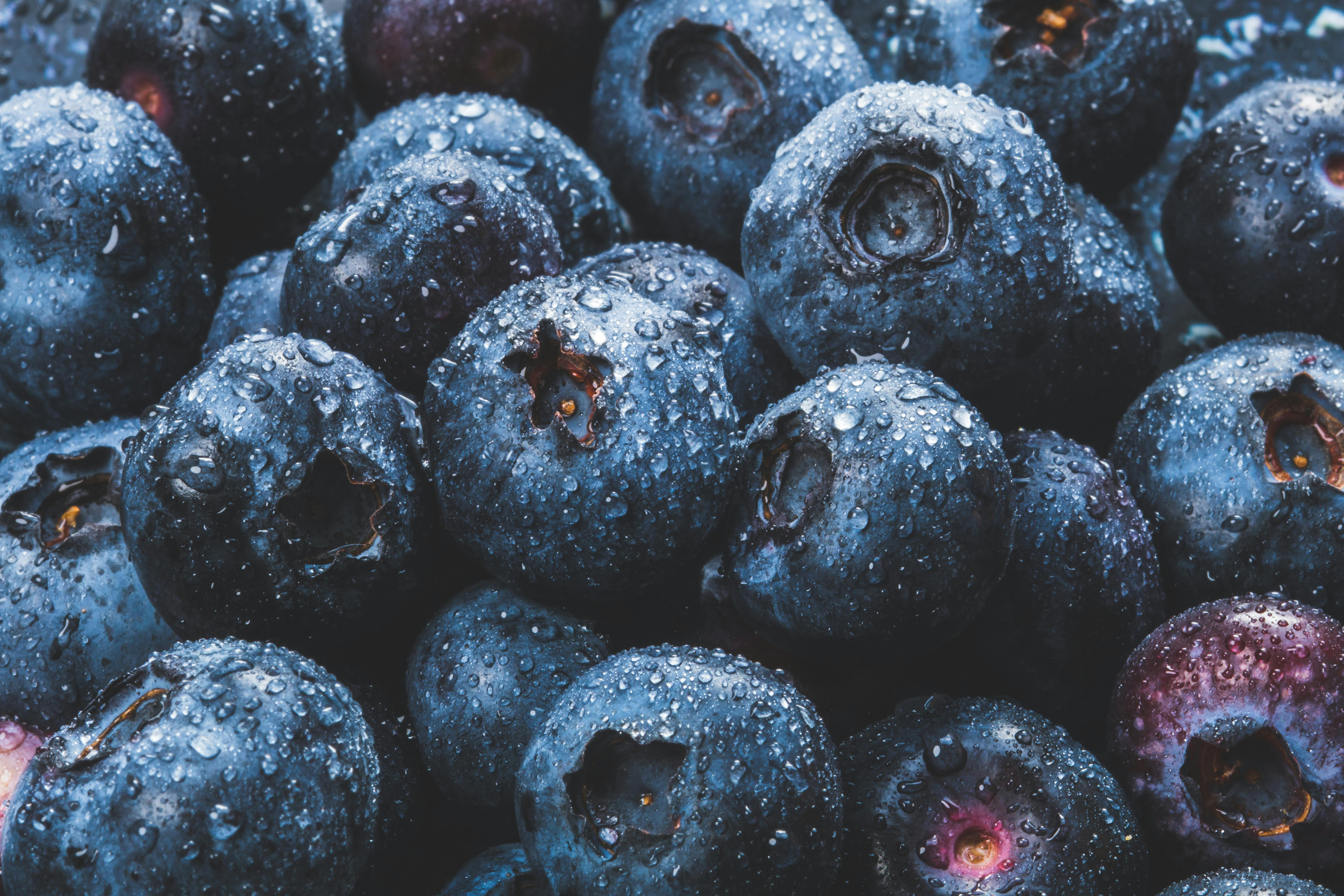 Close-up of blueberries with water droplets