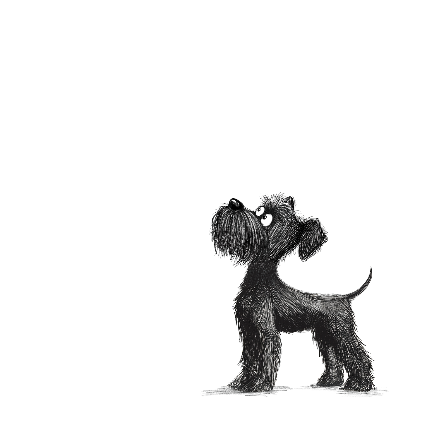 Black and white illustration of Darcy