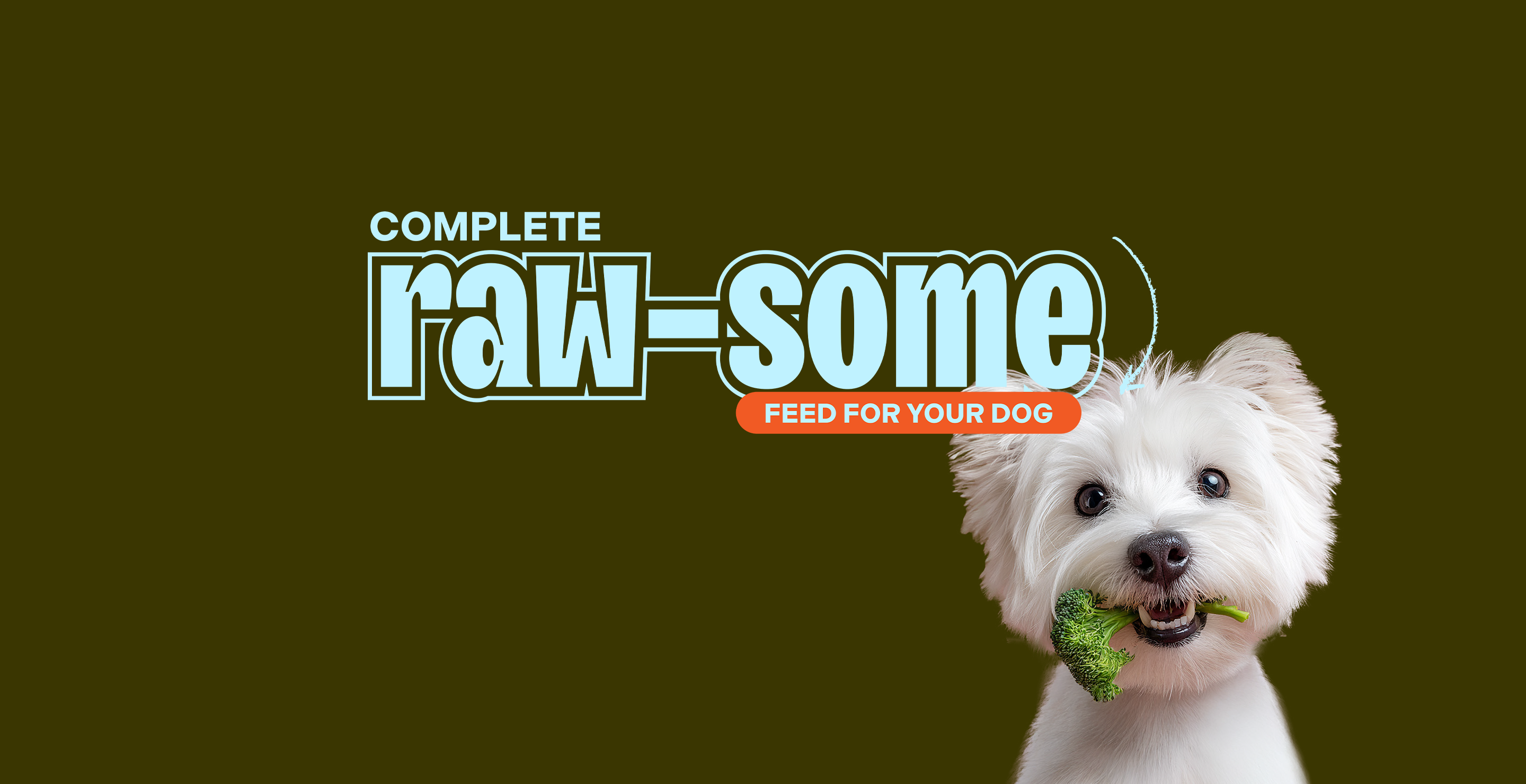 Dog holding a piece of broccoli with 'Complete raw-some feed for your dog' text on a green background