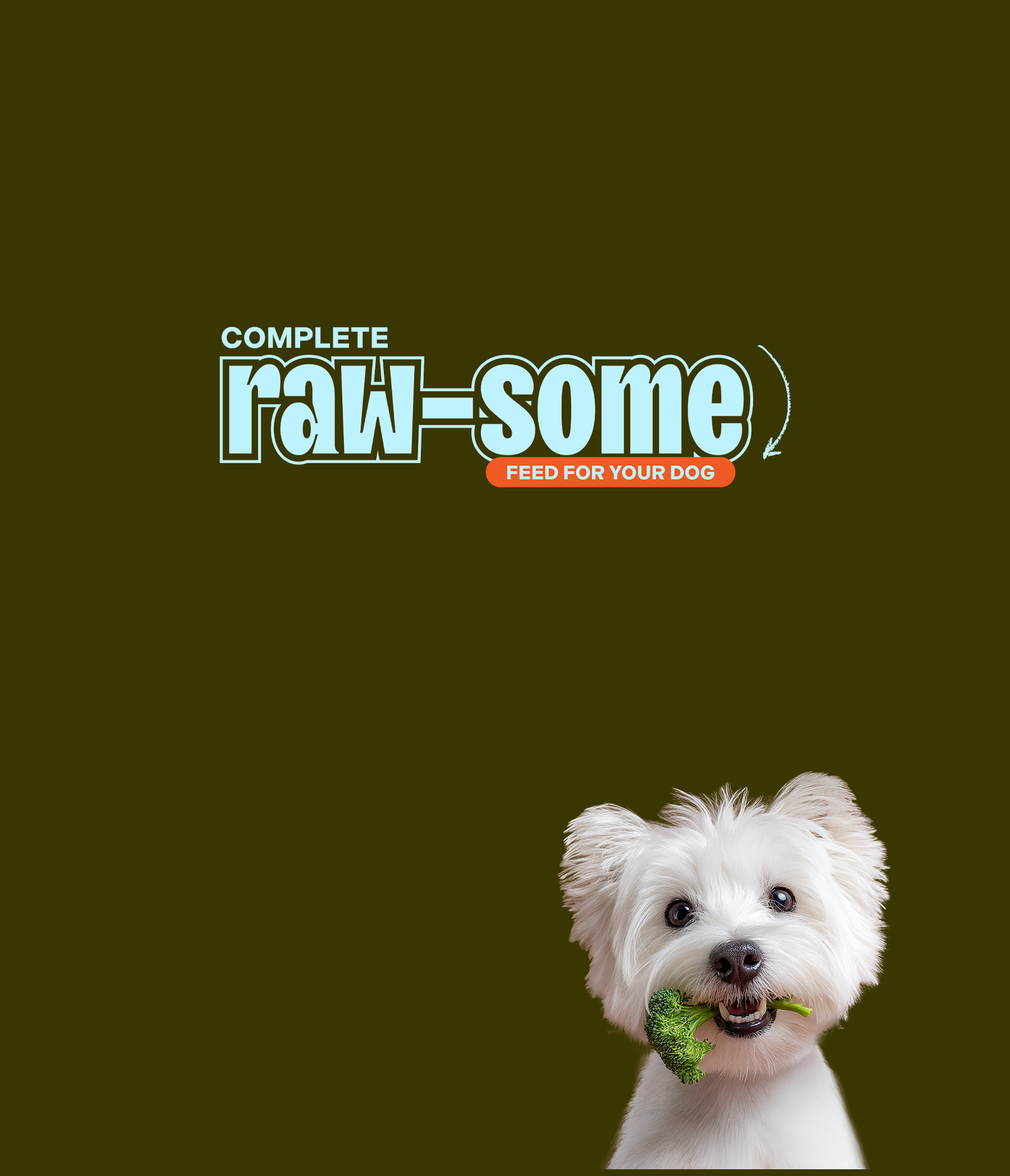 Dog holding a piece of broccoli with 'Complete raw-some feed for your dog' text on a dark green background